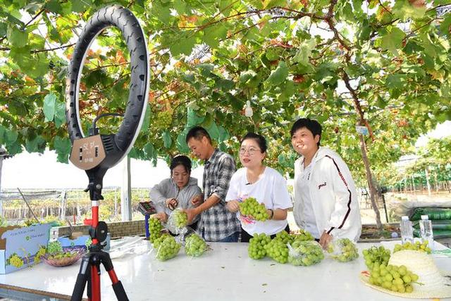 助农直播新形式，农产品新鲜直达